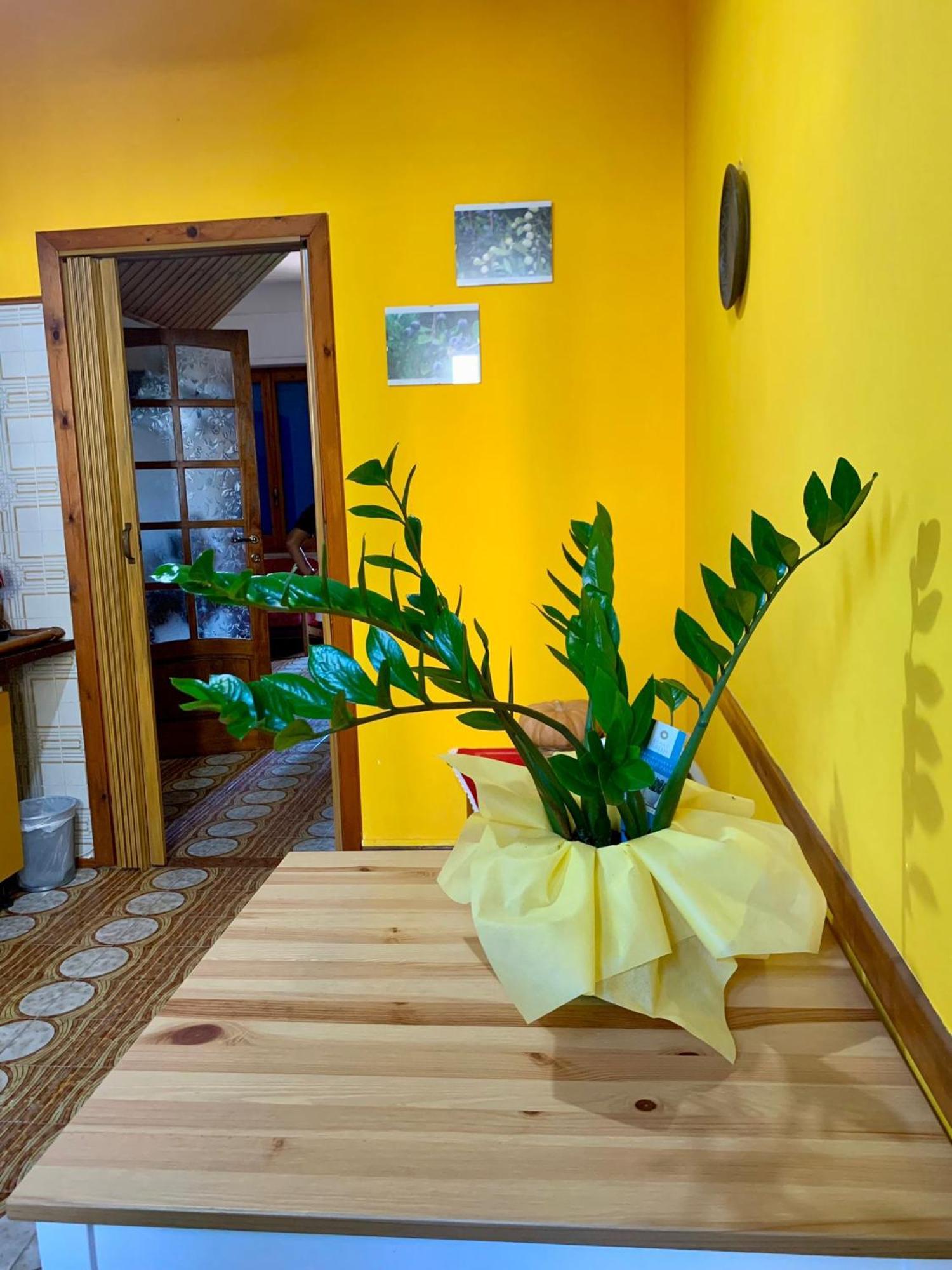 B & B Il Mirto 2 SantʼAntìoco エクステリア 写真